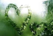 拜仁慕尼黑主场大胜，沃尔夫斯堡实力不济