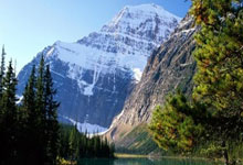 亚洲足球比赛引发各国球迷狂热